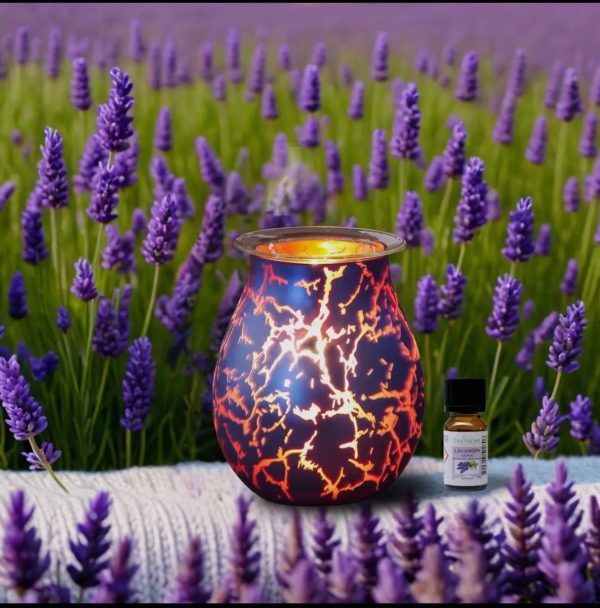 Lámpara de perfume eléctrica de vidrio fundido y cera perfumada
Se envía en 7 días por orden de entrada