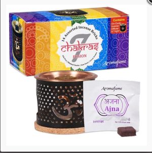 Set Aromafume OM con Ladrillos