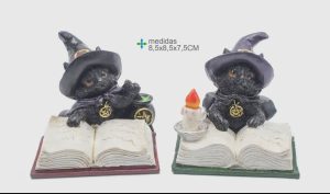 Gato wicca  libro y velas 2unidades  preventa 6/11 dic