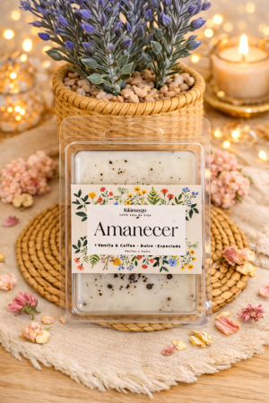 Wax melts artesanales
100% cera de soja
Hechas a mano