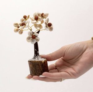 Árbol Grande de Piedras Circulares Gomati Chakra con Rudraksha - (45 piedras)