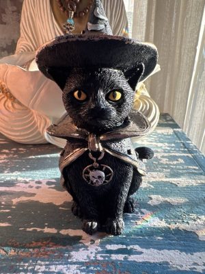 Gato protección