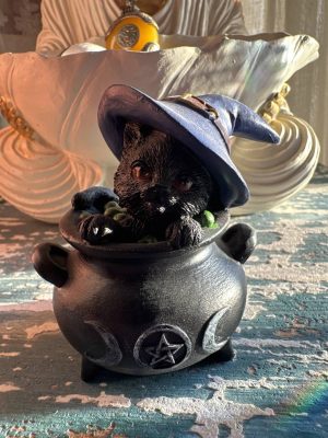 Gatito caldero