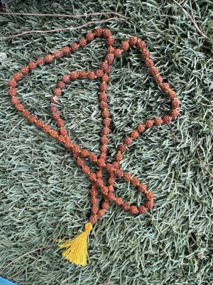 Japa Mala de Rudraska